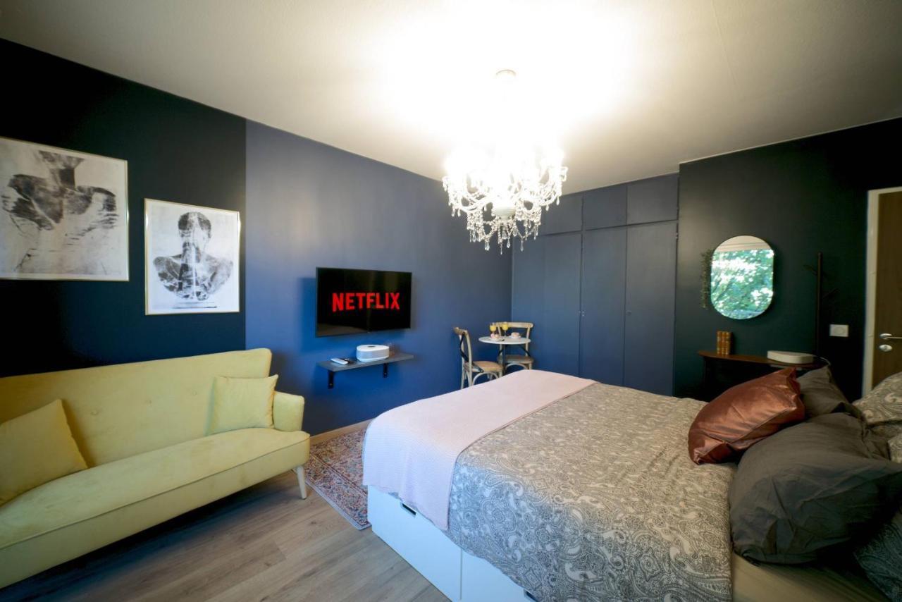 Le Boudoir, Centre Ville, Parking Couvert Inclus Mulhouse Luaran gambar